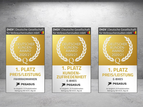 Pegasus gewinnt den Deutscher Kunden-Award 2020/21 - HildRadwelt