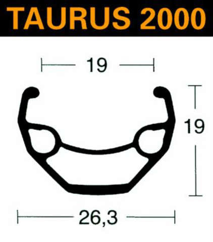 Taureau 2000 Taureau 2000