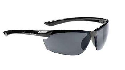 Alpina Brille ALP 21 DRAFF sw 2021