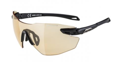 Alpina Brille ALP 21 TW. 5 SHIELD VLO 2021