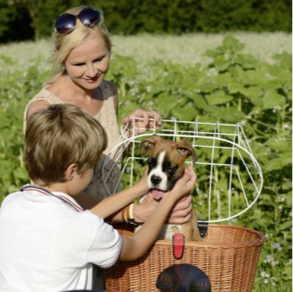 Rixen und Kaul Doggy Basket KorbKlip